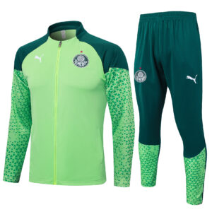 Conjunto Palmeiras Treino Verde Claro - 2025/26