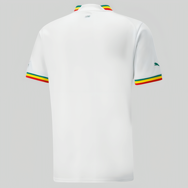Camisa Senegal I - 2022 - Imagem 2