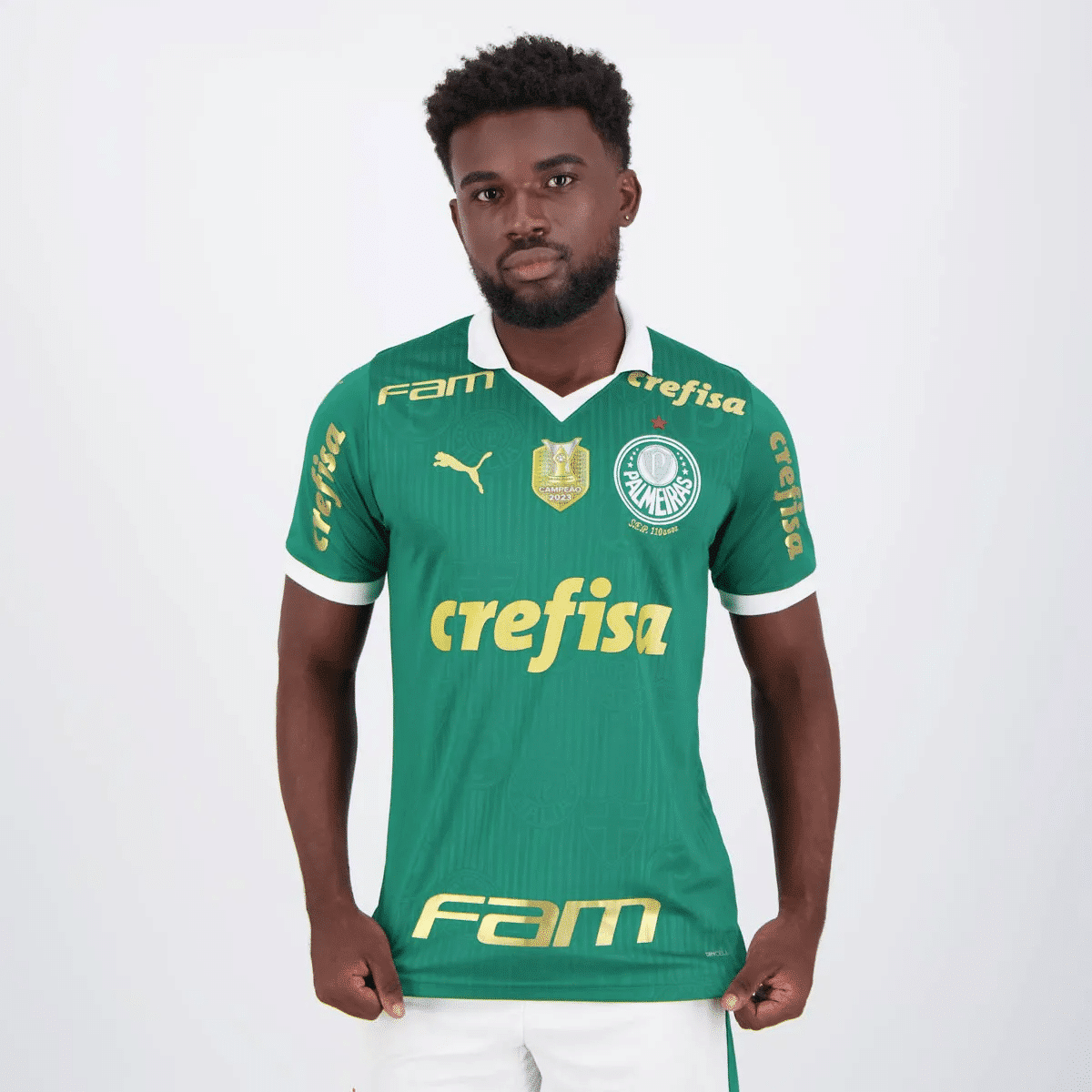 Camisa Palmeiras I - 2024 Campeão BR
