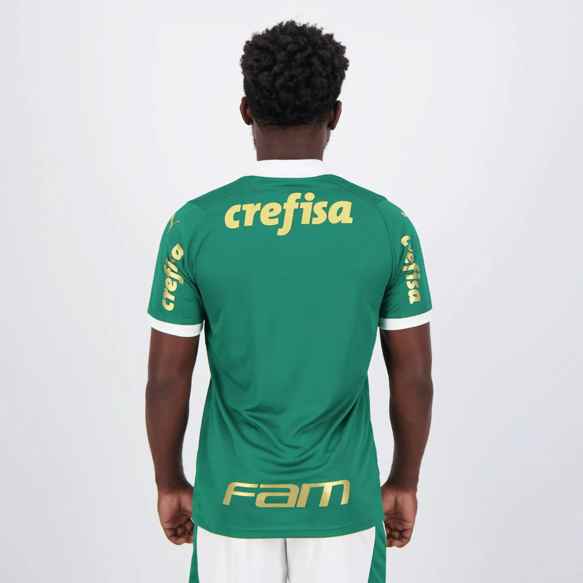 Camisa Palmeiras I - 2024 Campeão BR - Imagem 2