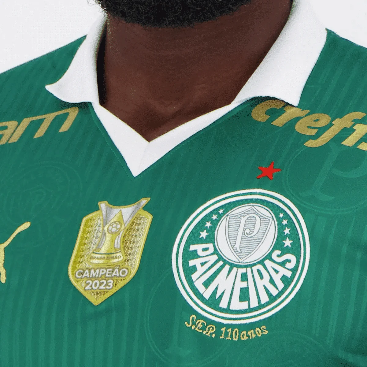 Camisa Palmeiras I - 2024 Campeão BR - Imagem 3