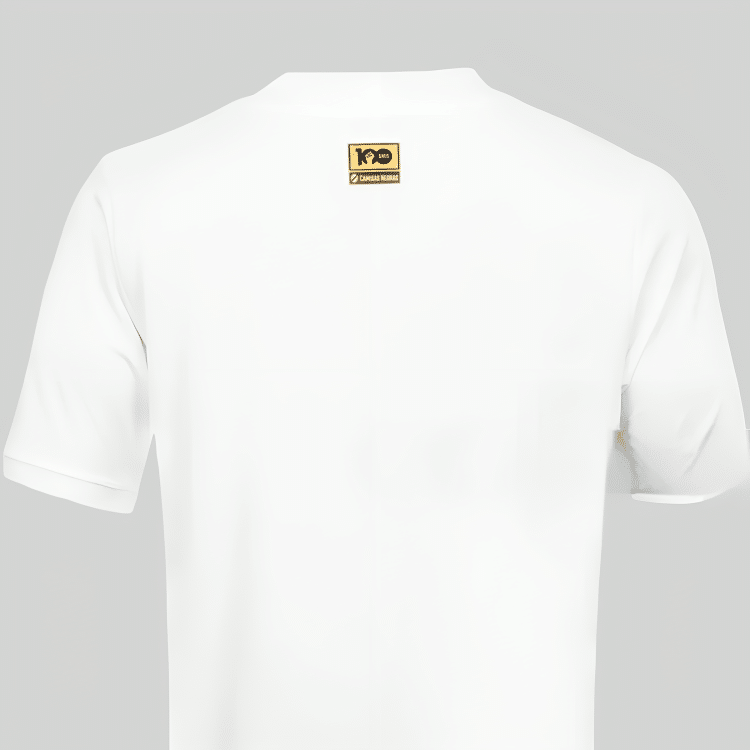 Camisa Vasco Goleiro II - 2023 - Imagem 2