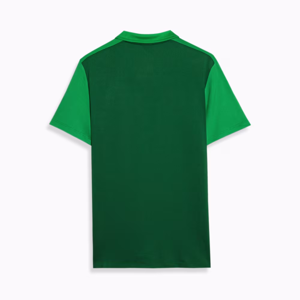 Camisa Palmeiras I Polo - 2025/26 - Imagem 2