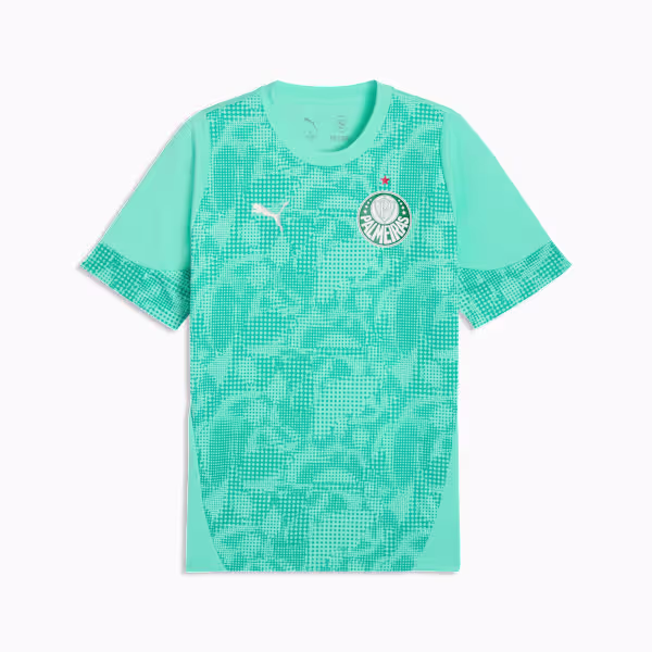 Camisa Palmeiras Treino - 2026/27